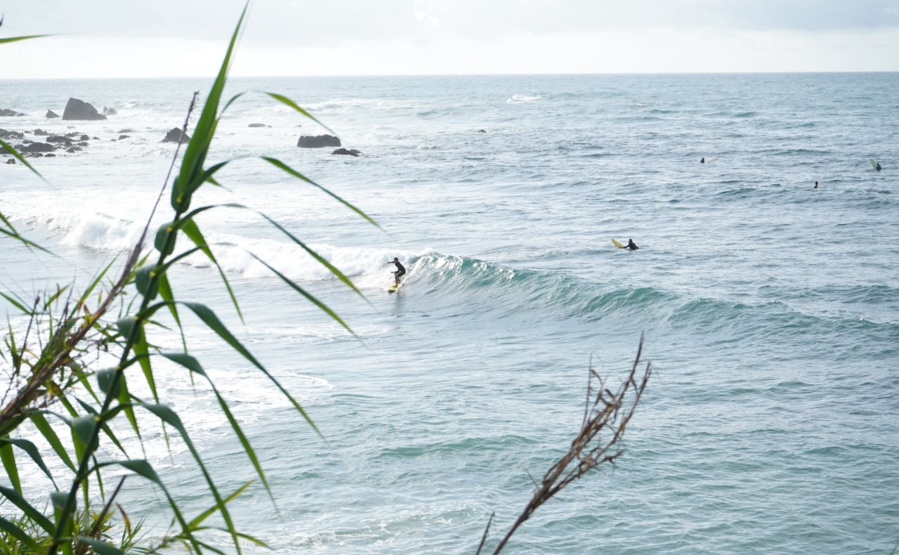 アクティビティイメージ