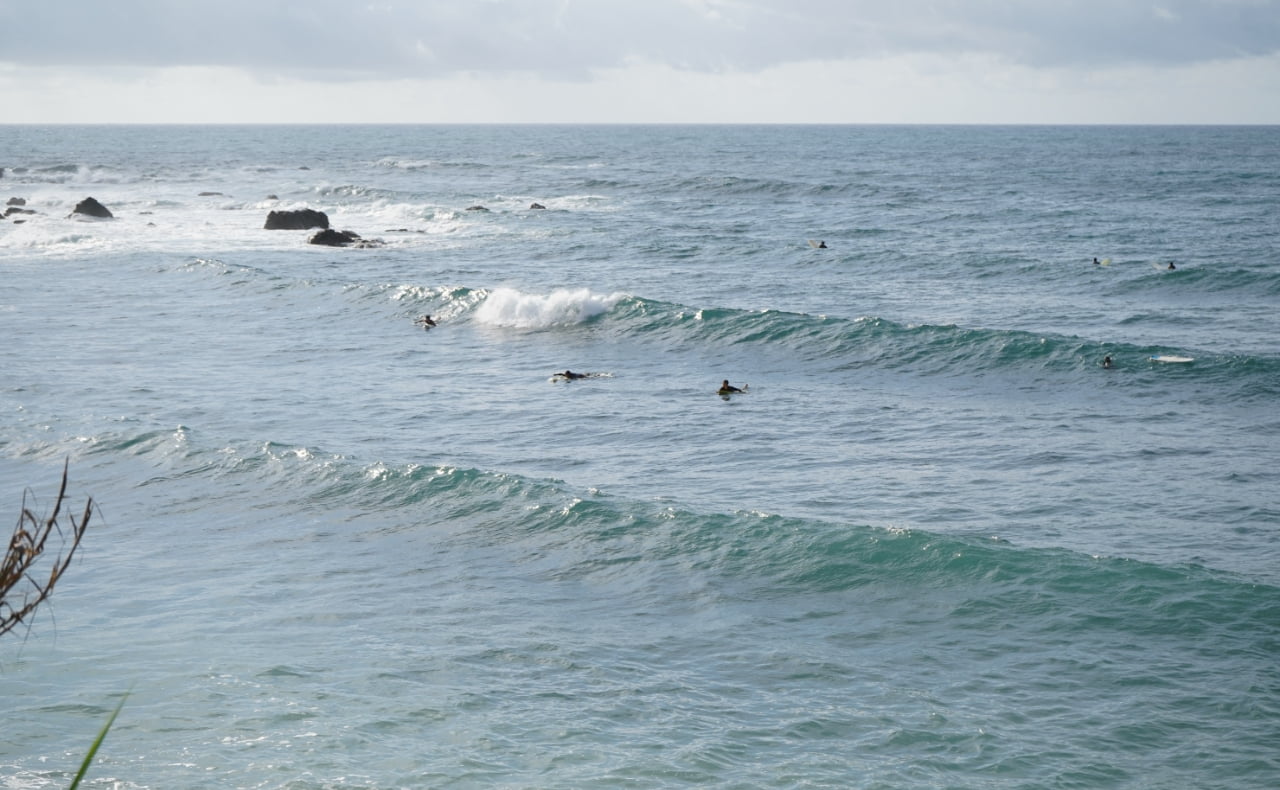 アクティビティイメージ