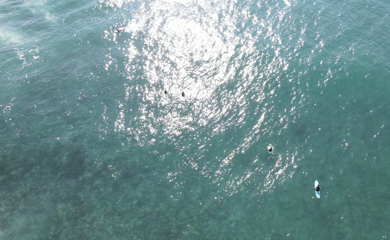 アクティビティイメージ