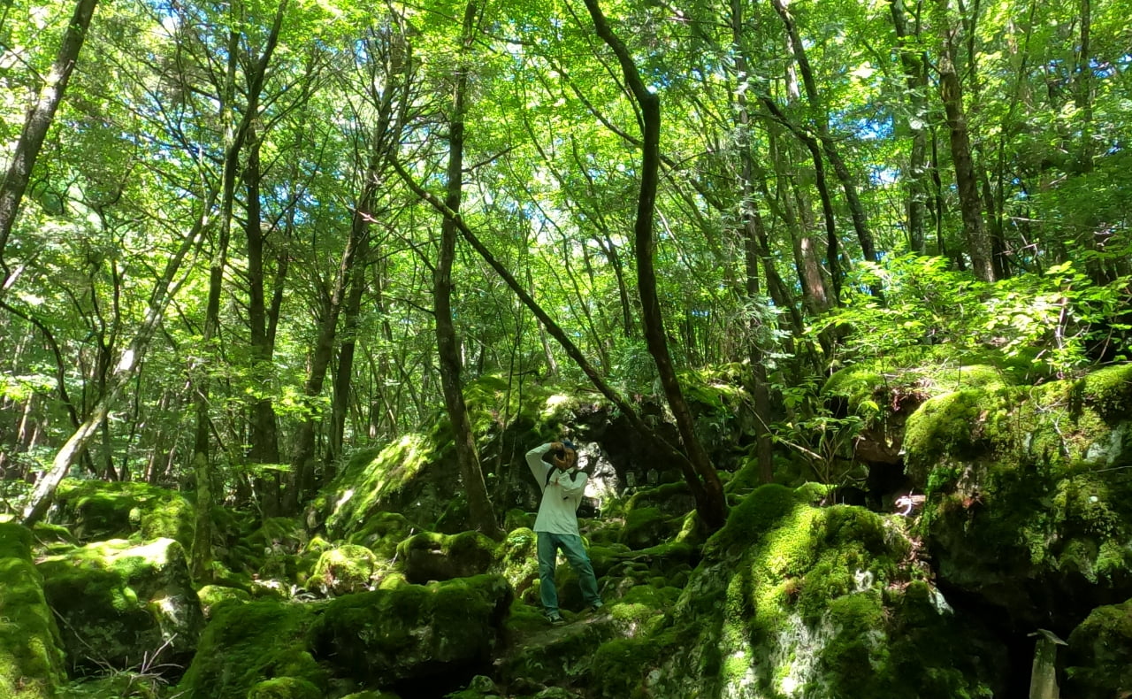 アクティビティイメージ