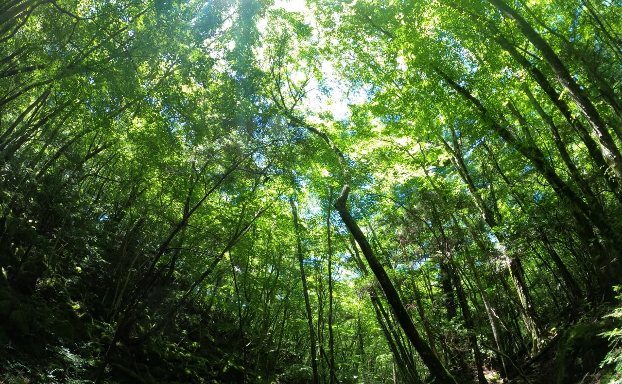 アクティビティイメージ