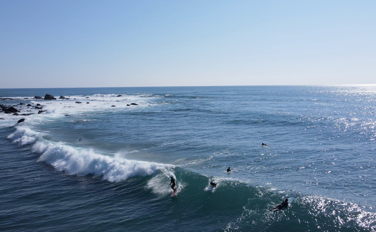 アクティビティイメージ