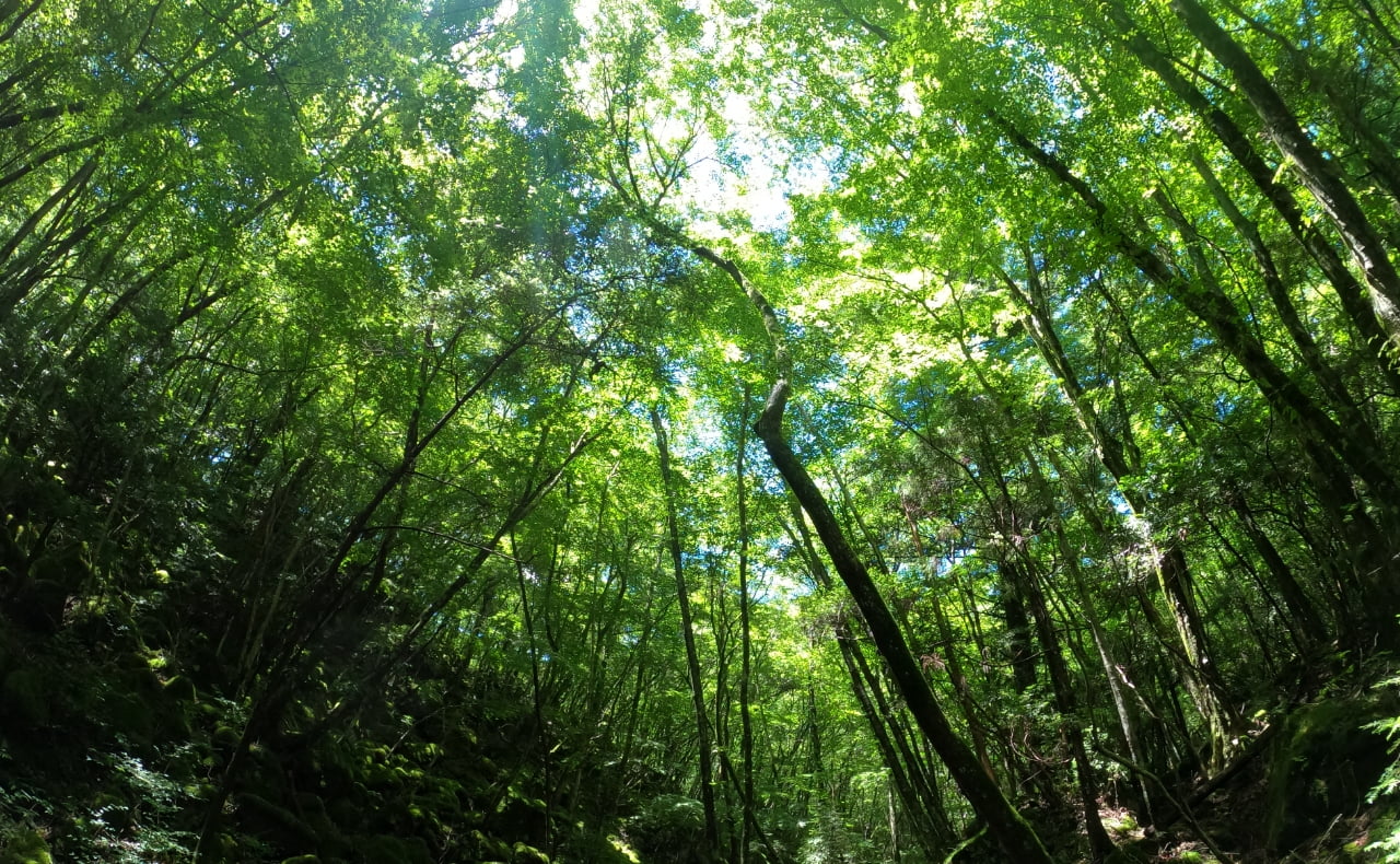 アクティビティイメージ