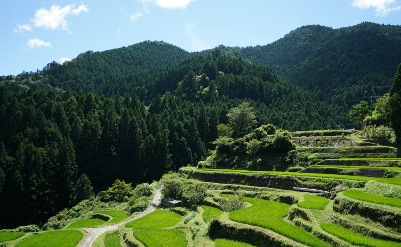 アクティビティイメージ